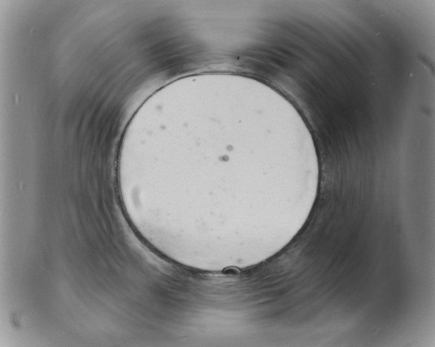 X0000102221483200808221234