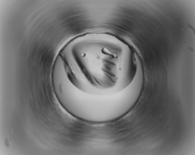 X0000102221484200808221234