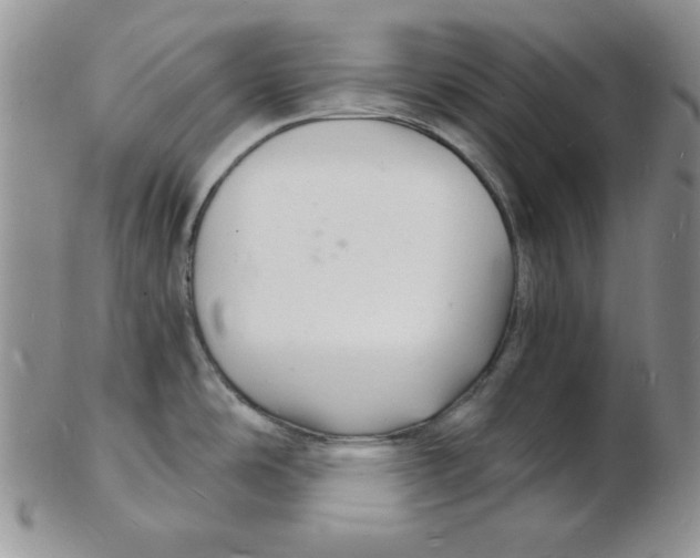 X0000102221486200808221234