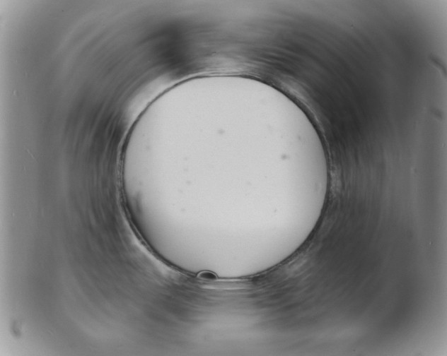 X0000102221487200808221234