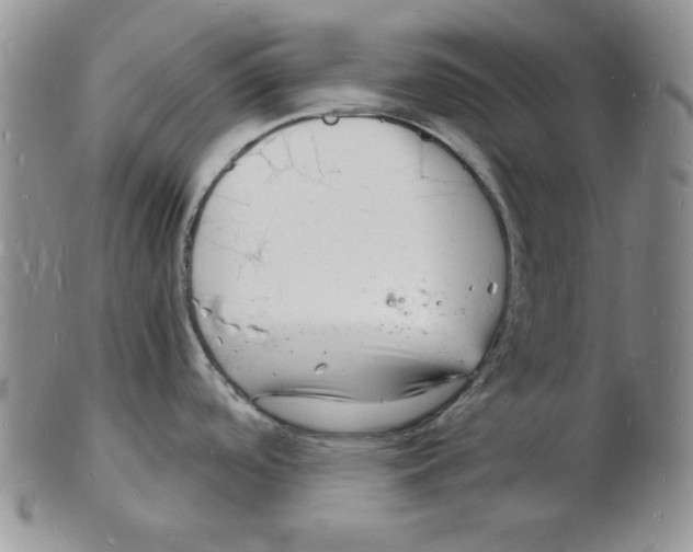 X0000102221488200808221234