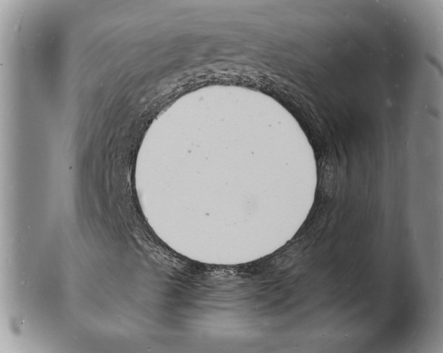 X0000102221489200808221234