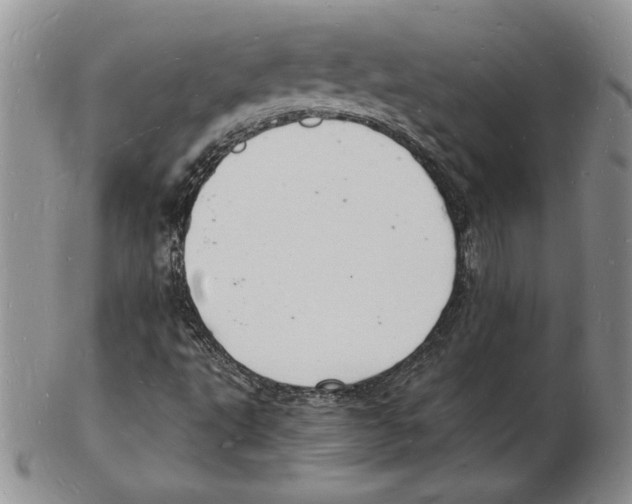 X0000102221495200808221234