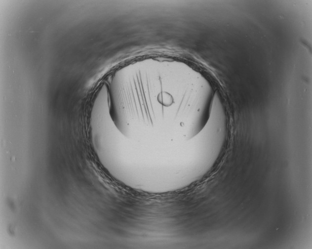 X0000102221496200808221234