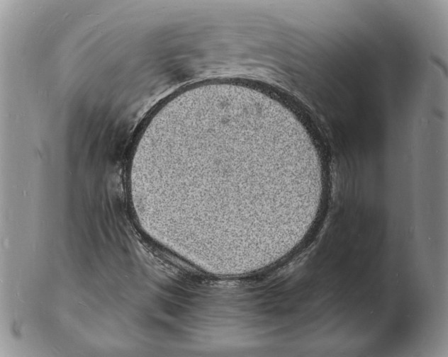 X0000102221497200808221234