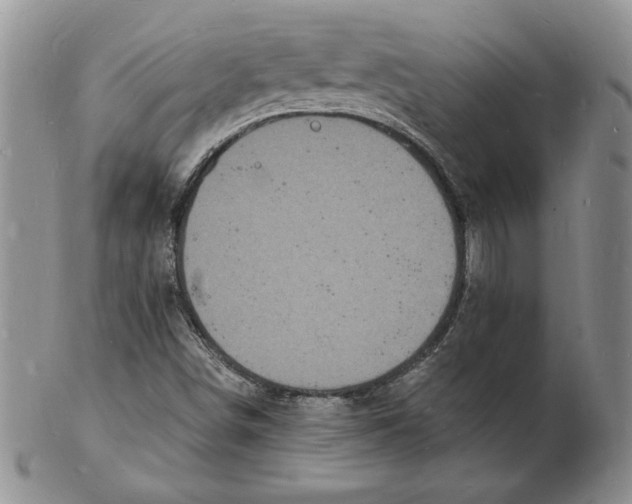 X0000102221498200808221234