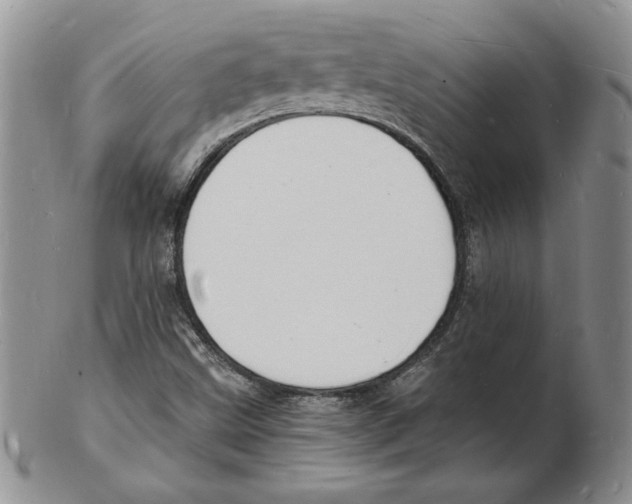 X0000102221499200808221234