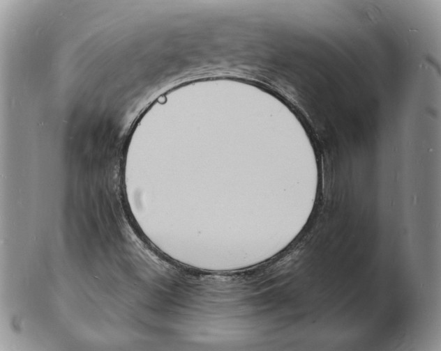 X0000102221500200808221234