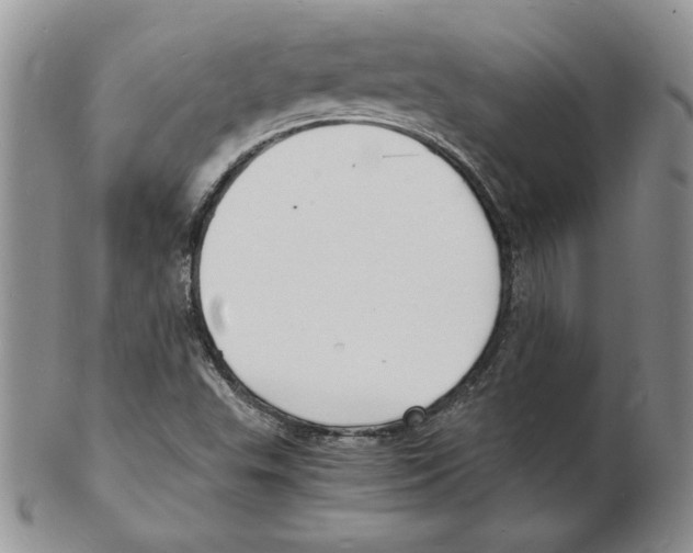 X0000102221503200808221234