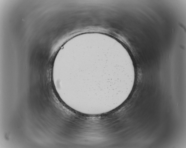 X0000102221504200808221234