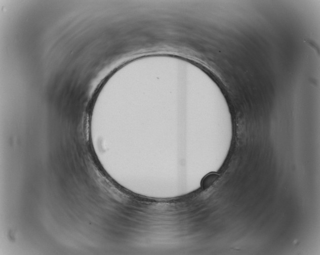 X0000102221510200808221234