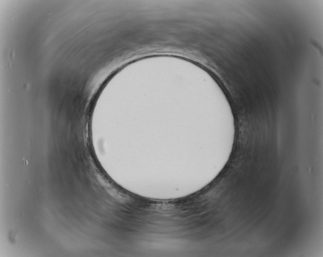 X0000102221511200808221234