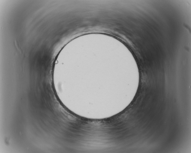 X0000102221512200808221234