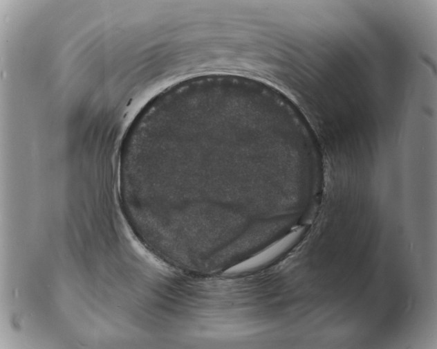 X0000102221515200808221234