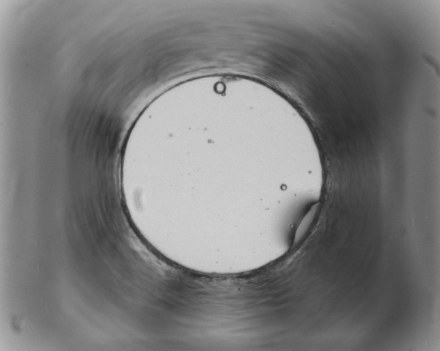 X0000102221516200808221234