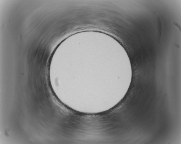 X0000102221518200808221234