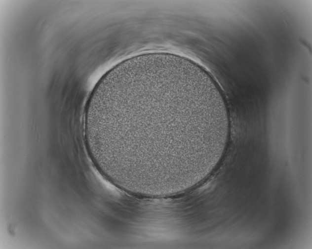 X0000102221519200808221234