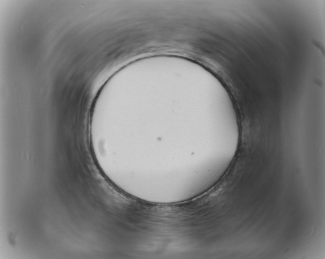 X0000102221520200808221234