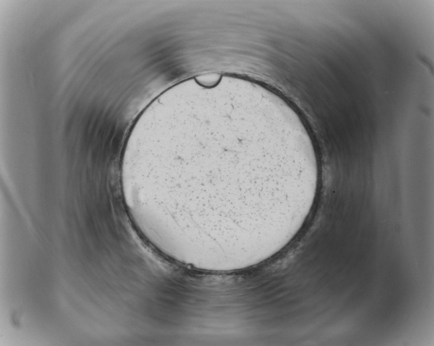 X0000102221521200808221234