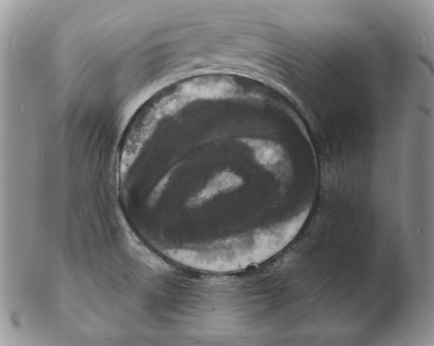 X0000102221522200808221234