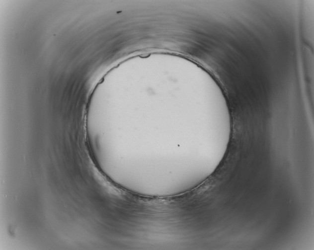 X0000102221524200808221234