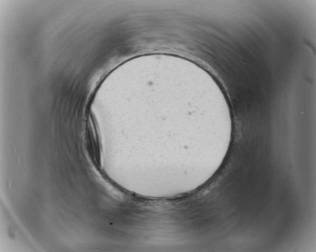 X0000102221525200808221234