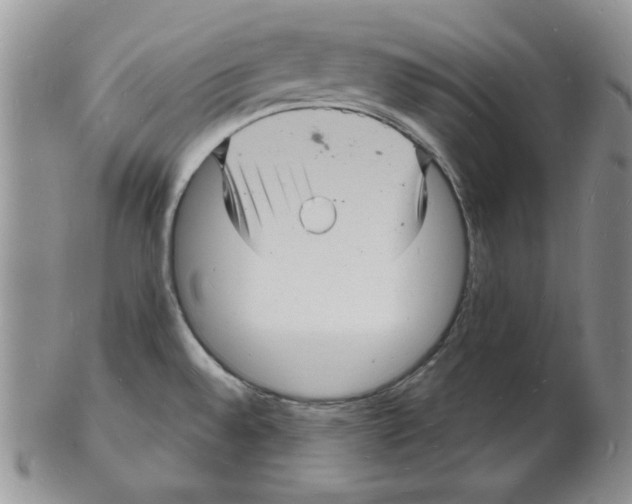 X0000102221528200808221234