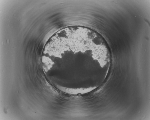 X0000102221529200808221234