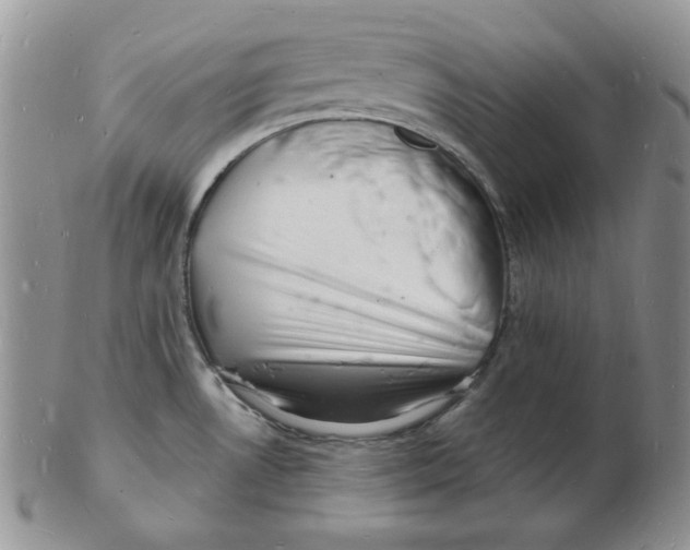 X0000102221530200808221234