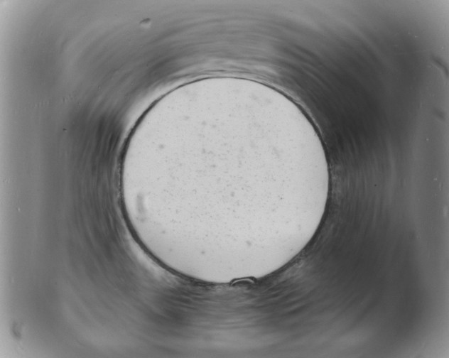 X0000102221531200808221234