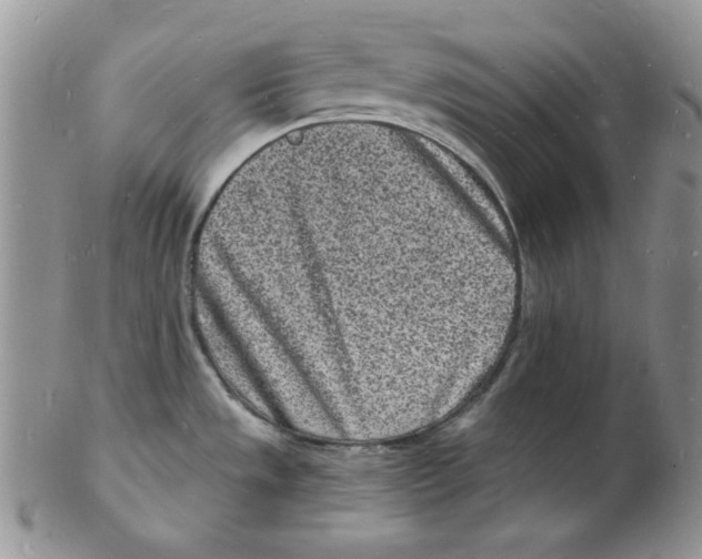 X0000102221533200808221234