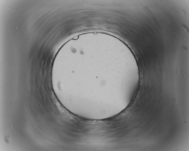 X0000102221534200808221234