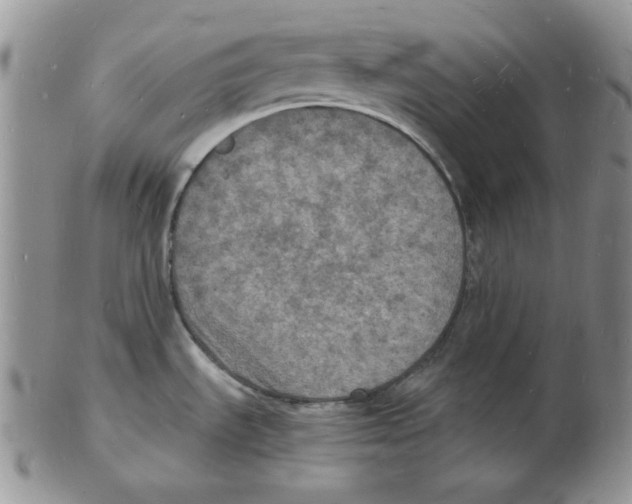 X0000102221535200808221234