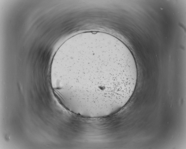 X0000102221536200808221234