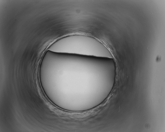 X0000102230001200807250820