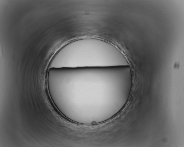 X0000102230002200807250820