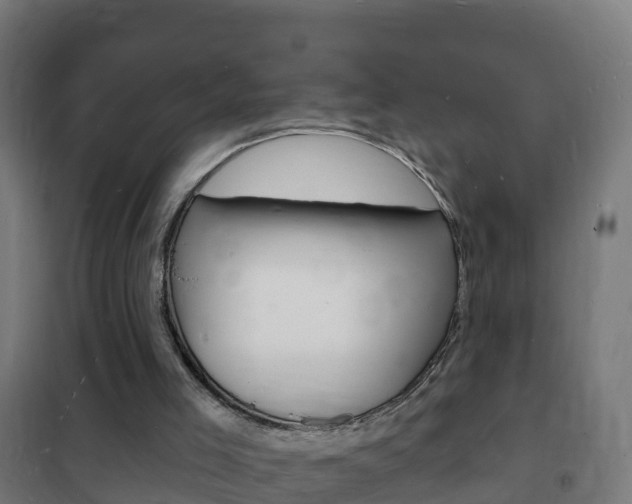 X0000102230005200807250820