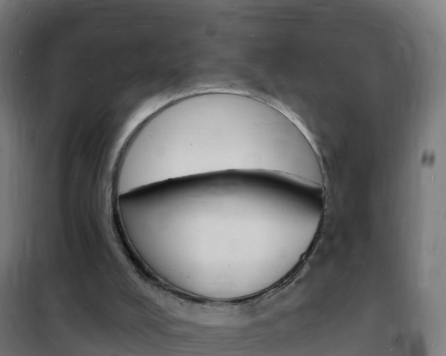 X0000102230008200807250820