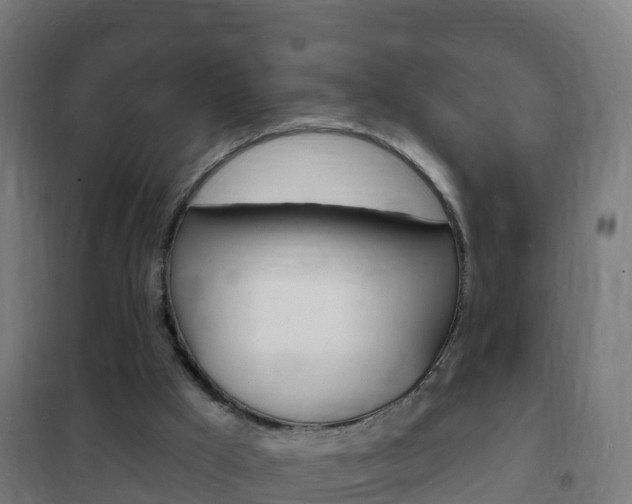 X0000102230009200807250820