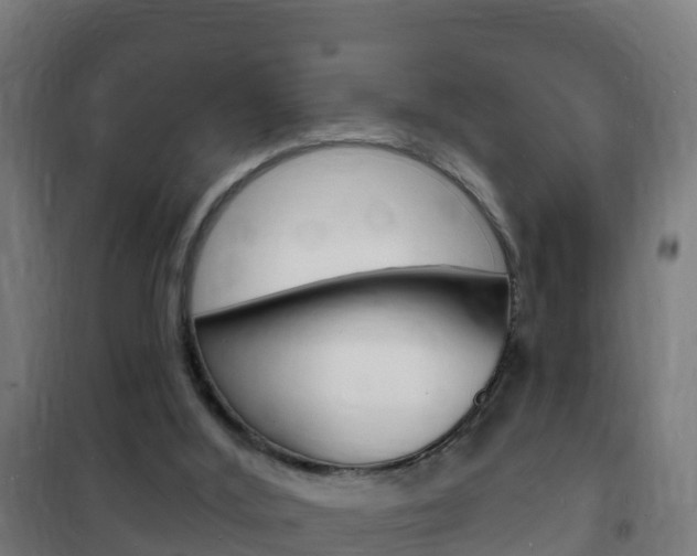 X0000102230012200807250820