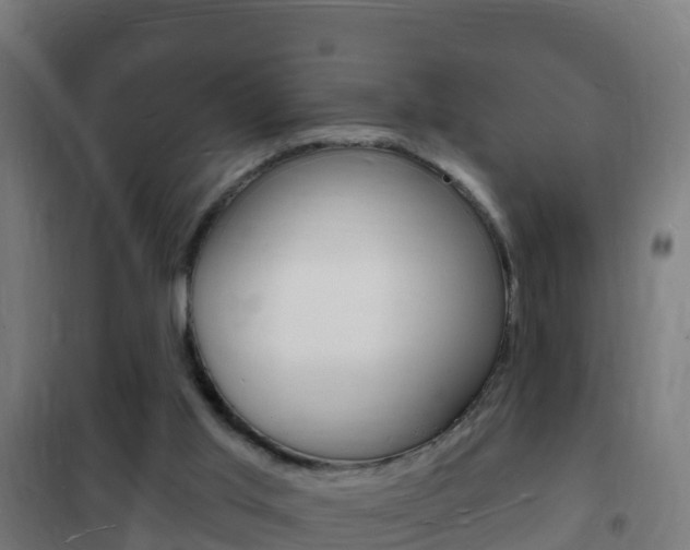 X0000102230013200807250820