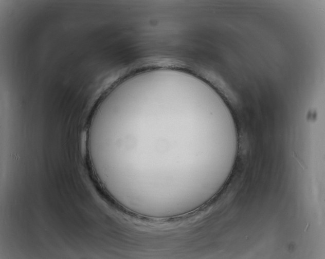 X0000102230014200807250820