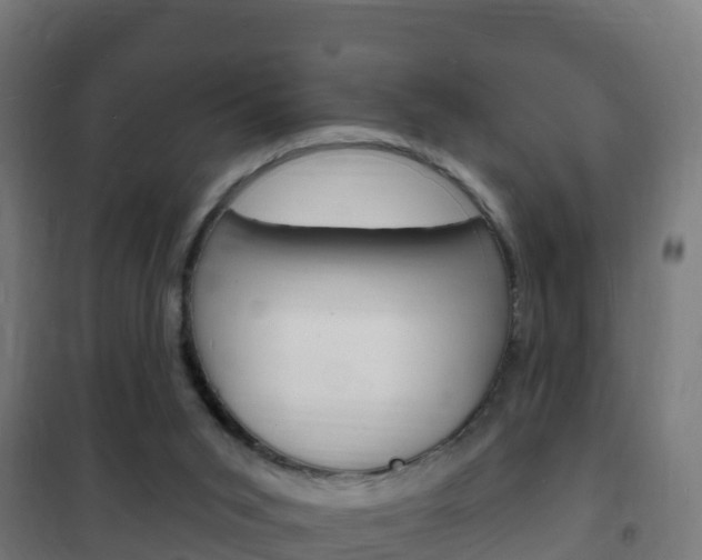 X0000102230015200807250820