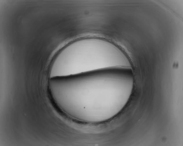 X0000102230016200807250820