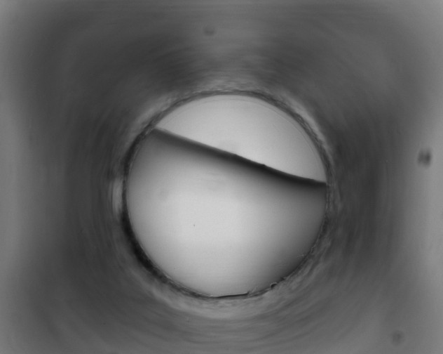 X0000102230019200807250820