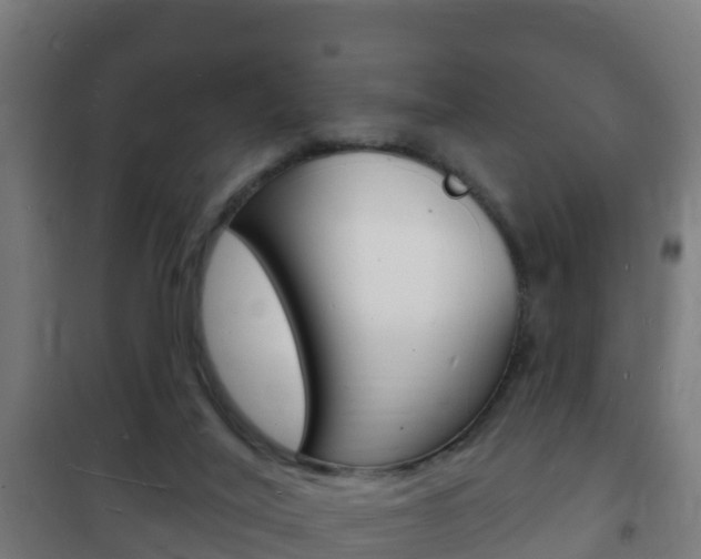 X0000102230020200807250820