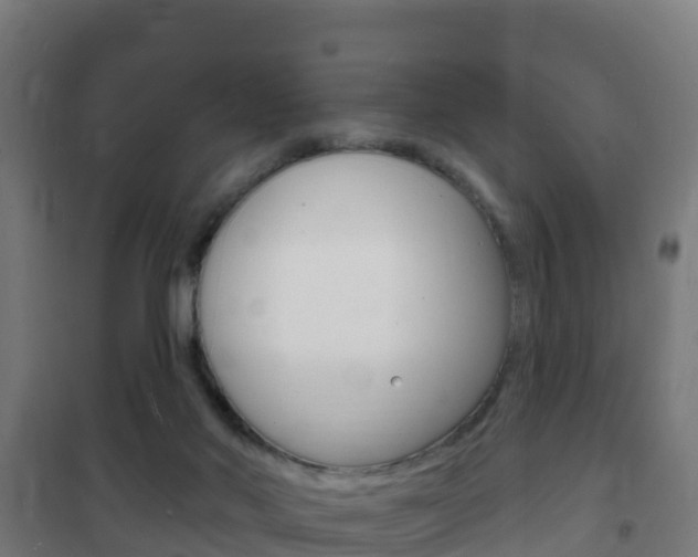 X0000102230022200807250820