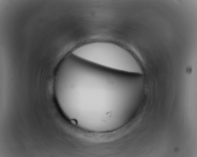 X0000102230023200807250820