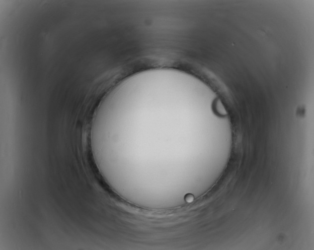 X0000102230026200807250820