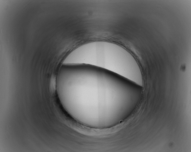 X0000102230027200807250820